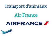 Tout sur le transport d'animaux avec Air France